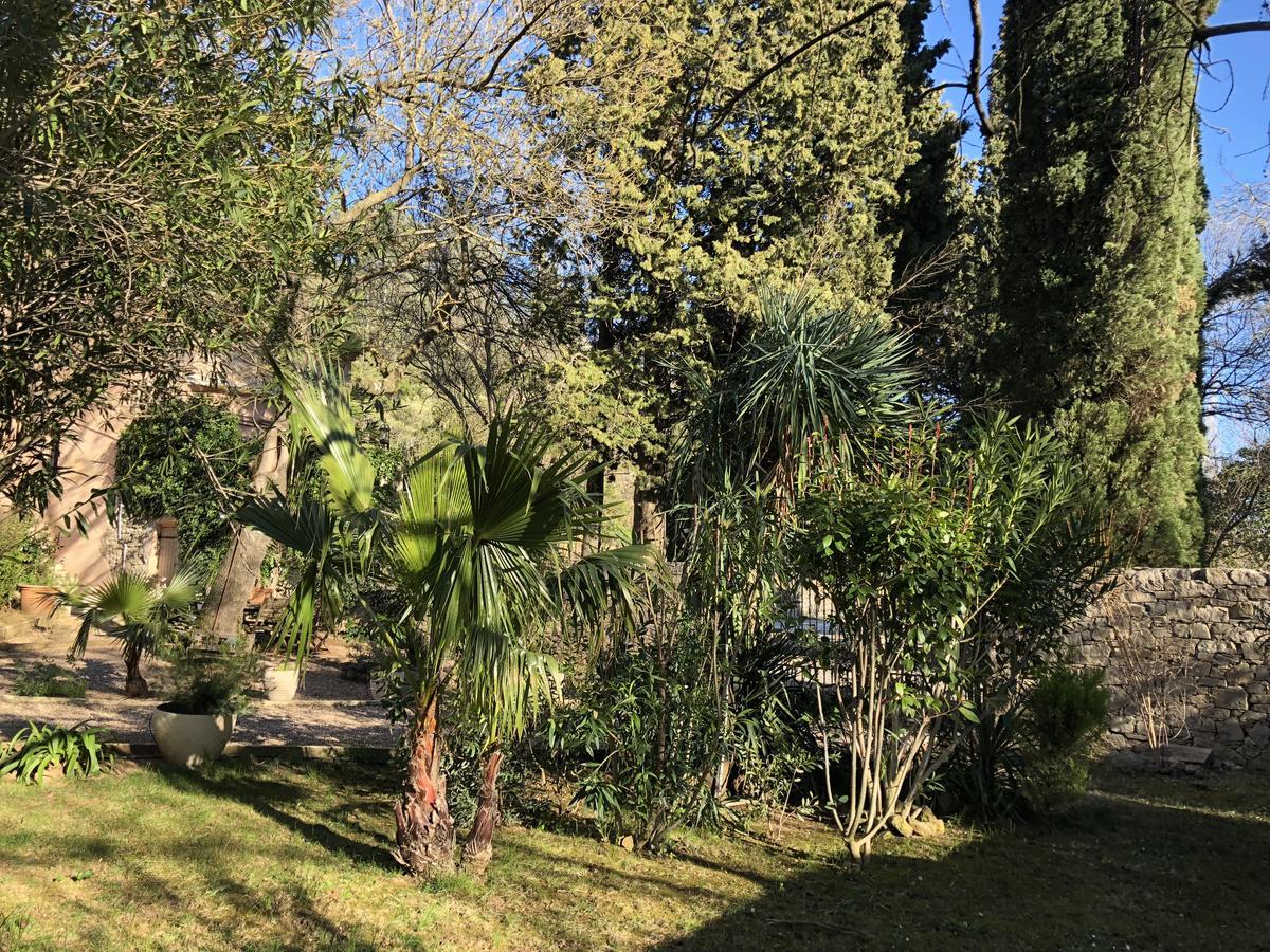 Auberge De Pachoquin Meounes-les-Montrieux Exterior foto